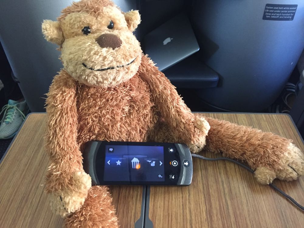 a stuffed monkey holding a device