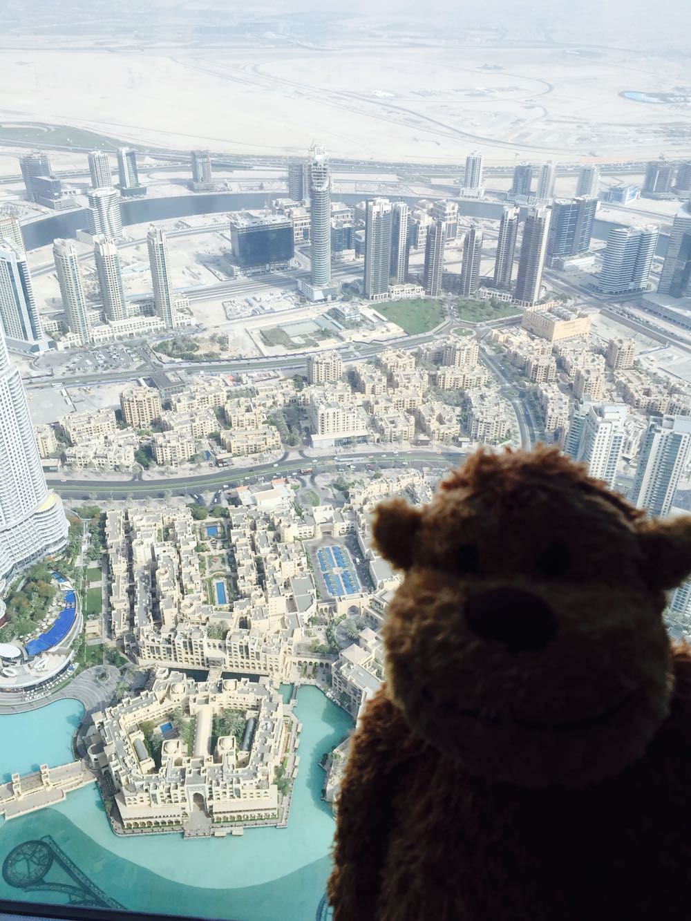 a stuffed animal in front of a city