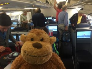 a stuffed monkey in an airplane