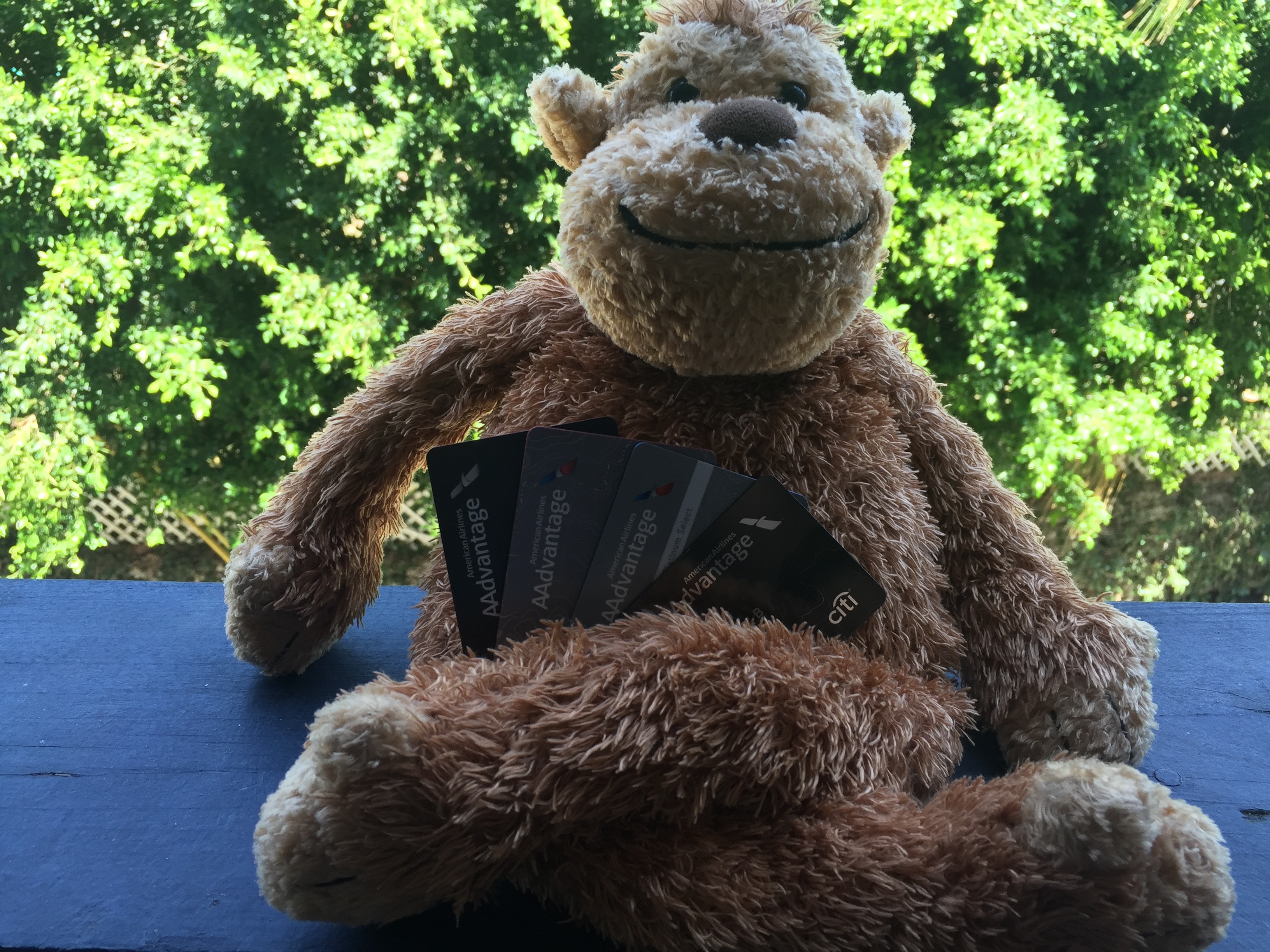 a stuffed monkey holding several cards