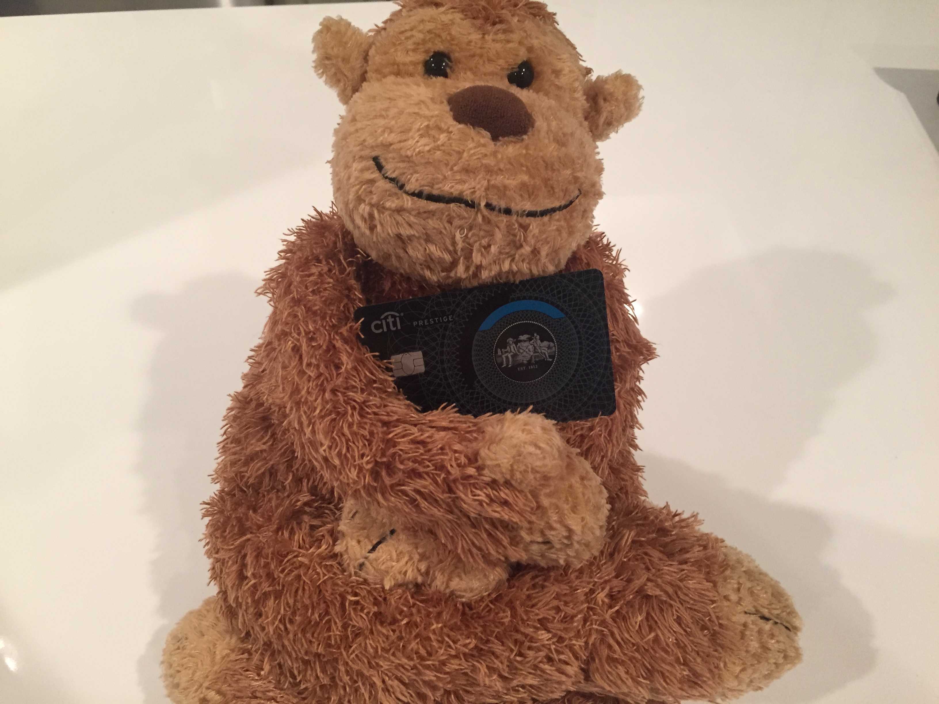 a stuffed animal holding a camera