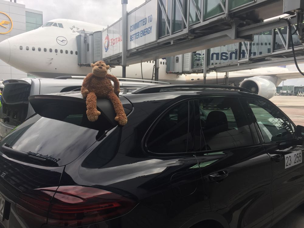 a stuffed animal on the back of a car