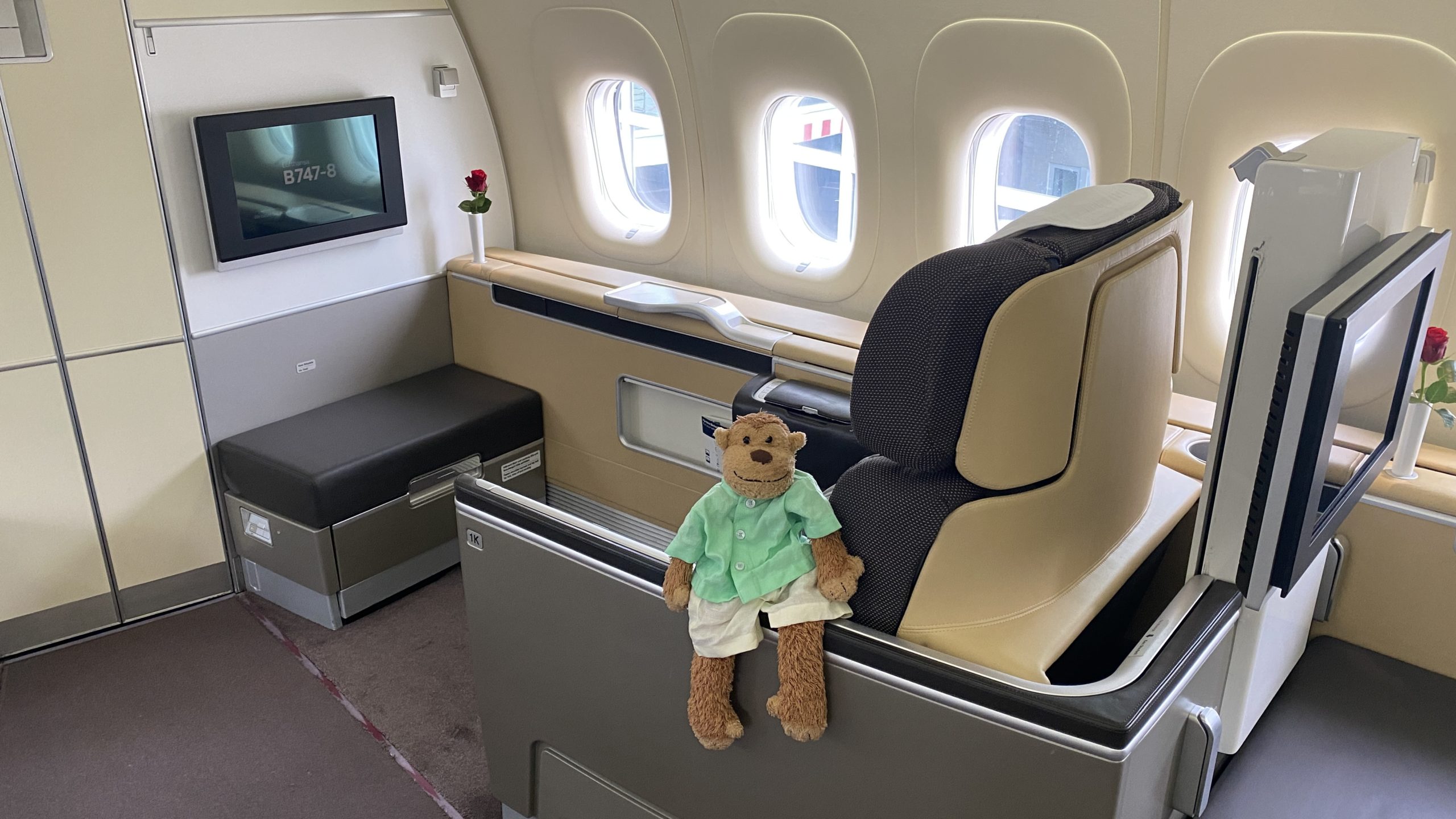 a stuffed animal on a seat