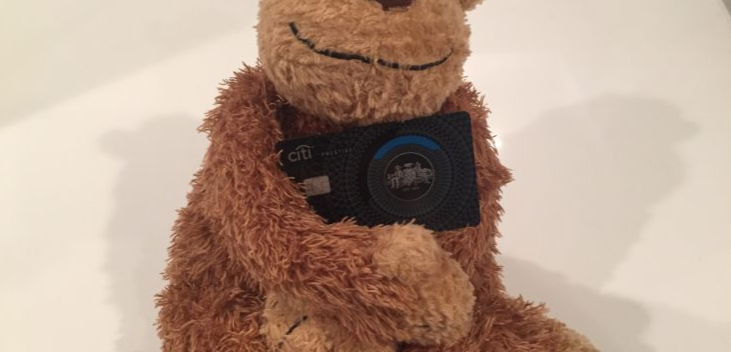 a stuffed bear holding a camera