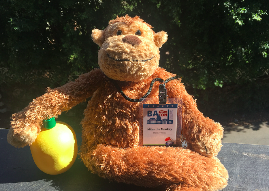 a stuffed monkey with a badge and a yellow object