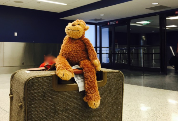 a stuffed monkey on a suitcase