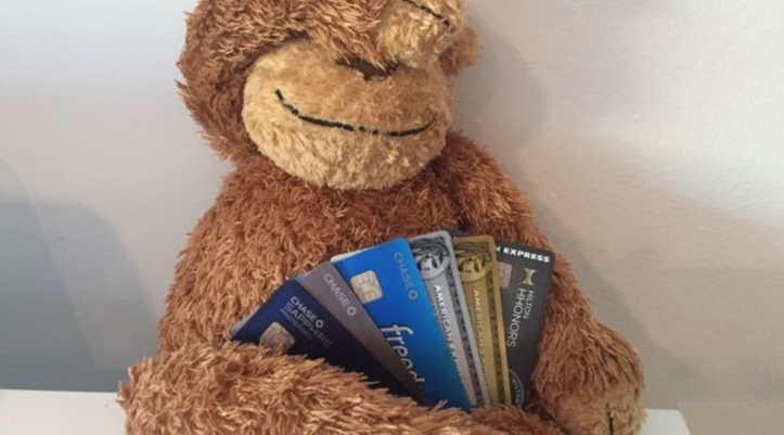 a stuffed animal holding credit cards