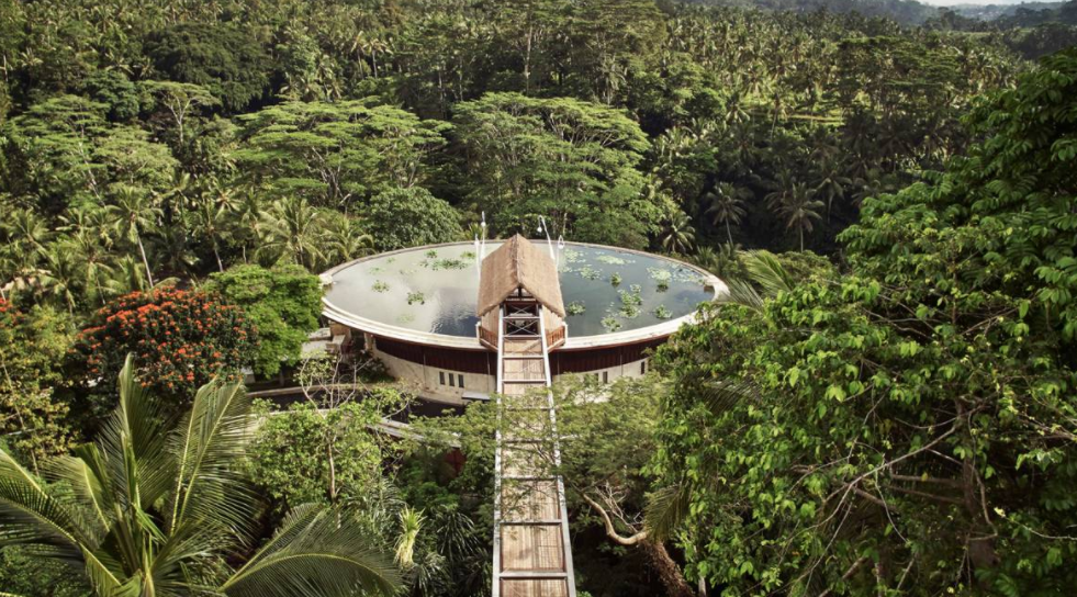 a building with a pool in the middle of a forest