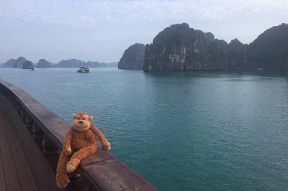 a stuffed animal on a railing overlooking a body of water