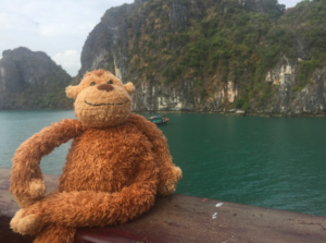 a stuffed animal on a railing overlooking water