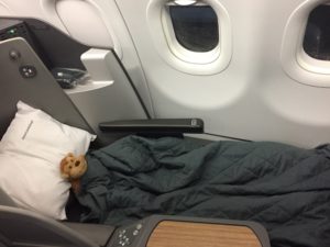 a teddy bear on a bed in an airplane