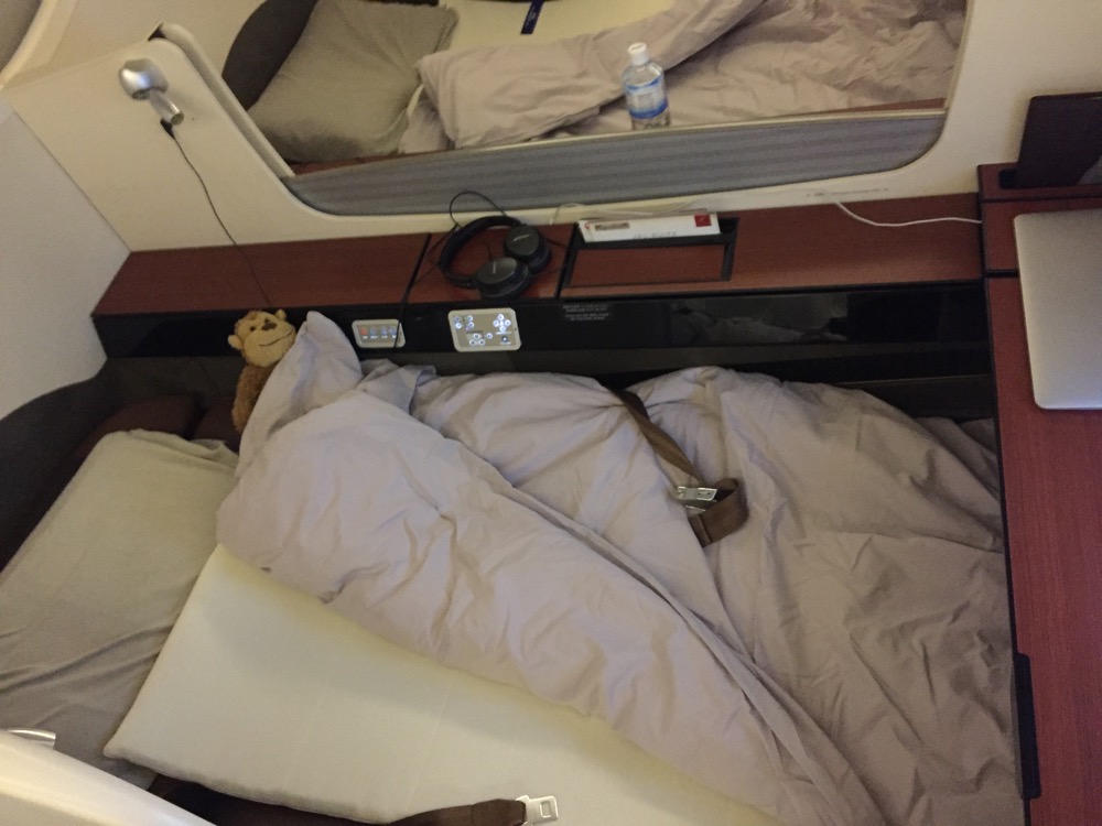Japan Airlines First Class NRT-ORD - 112 of 139