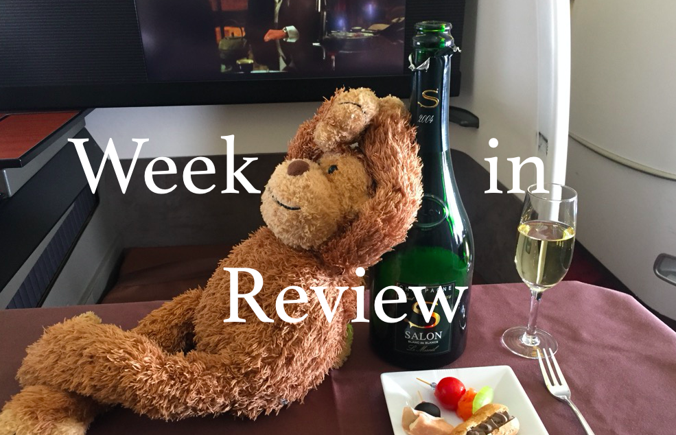 a stuffed animal next to a bottle of wine