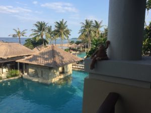 a stuffed animal on a ledge near a pool