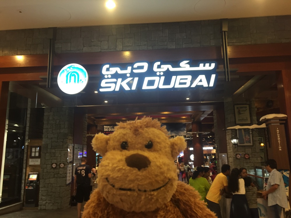 Ski Dubai - 3 of 12