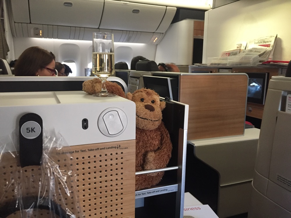 a stuffed animal in a chair on an airplane