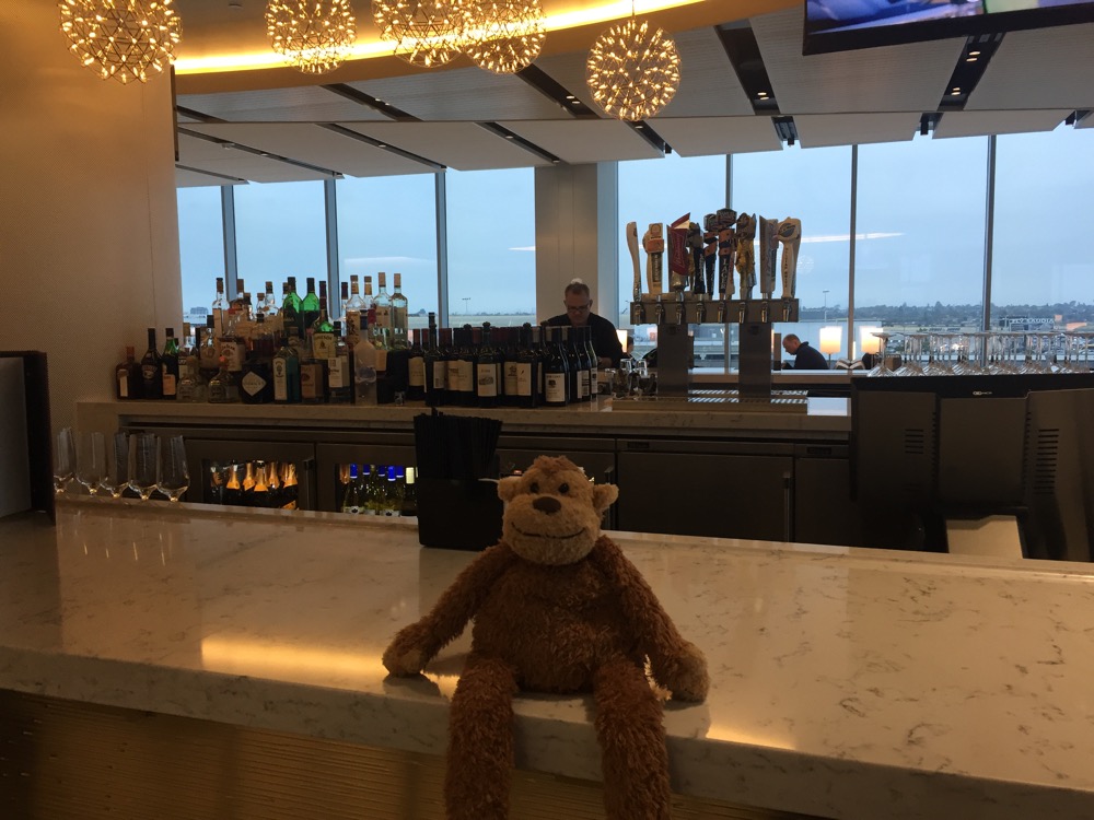 a stuffed animal on a bar