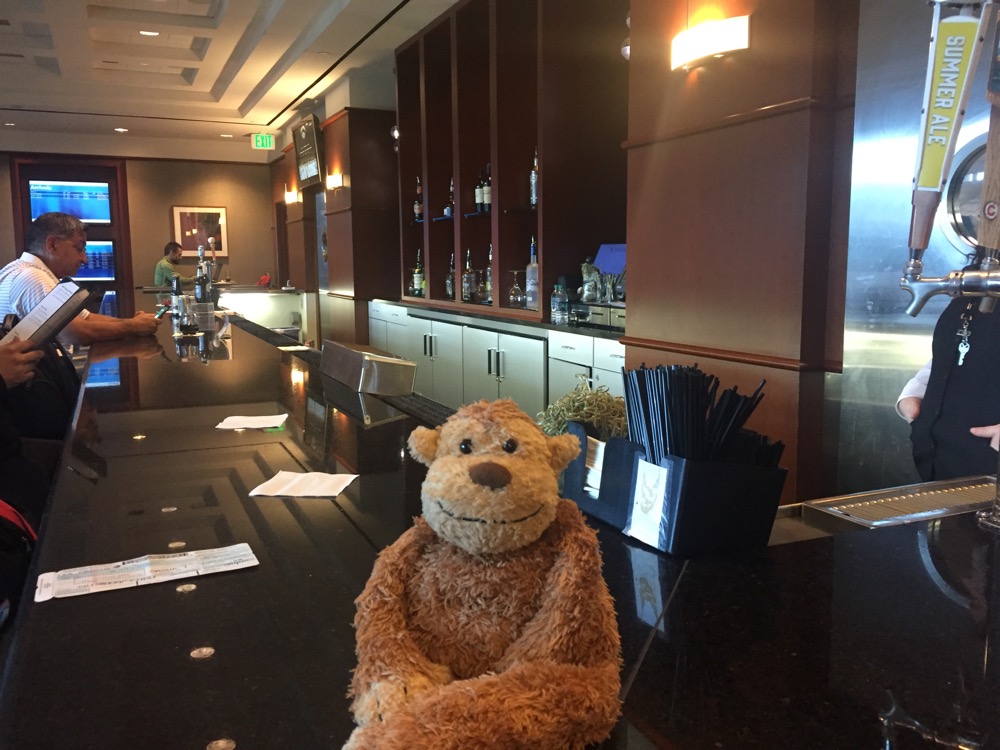 a stuffed animal sitting at a bar