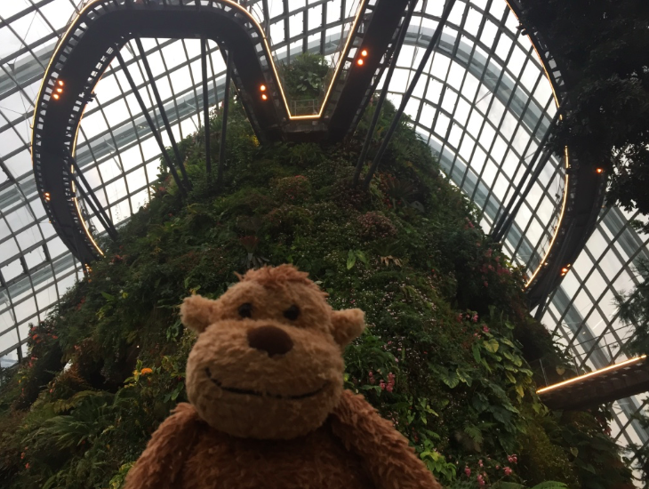 Cloud Forest, Gardens by the Bay Singapore 2017