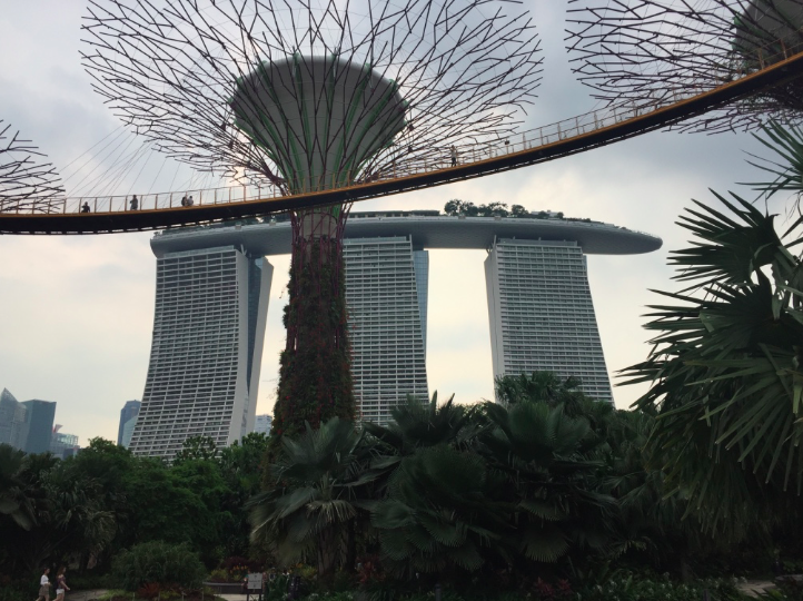 Super Trees, Gardens By The Bay, Singapore