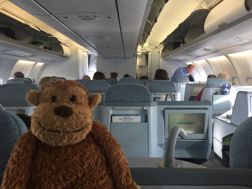 a stuffed animal in an airplane