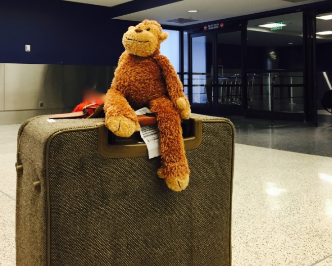 a stuffed monkey on top of a suitcase