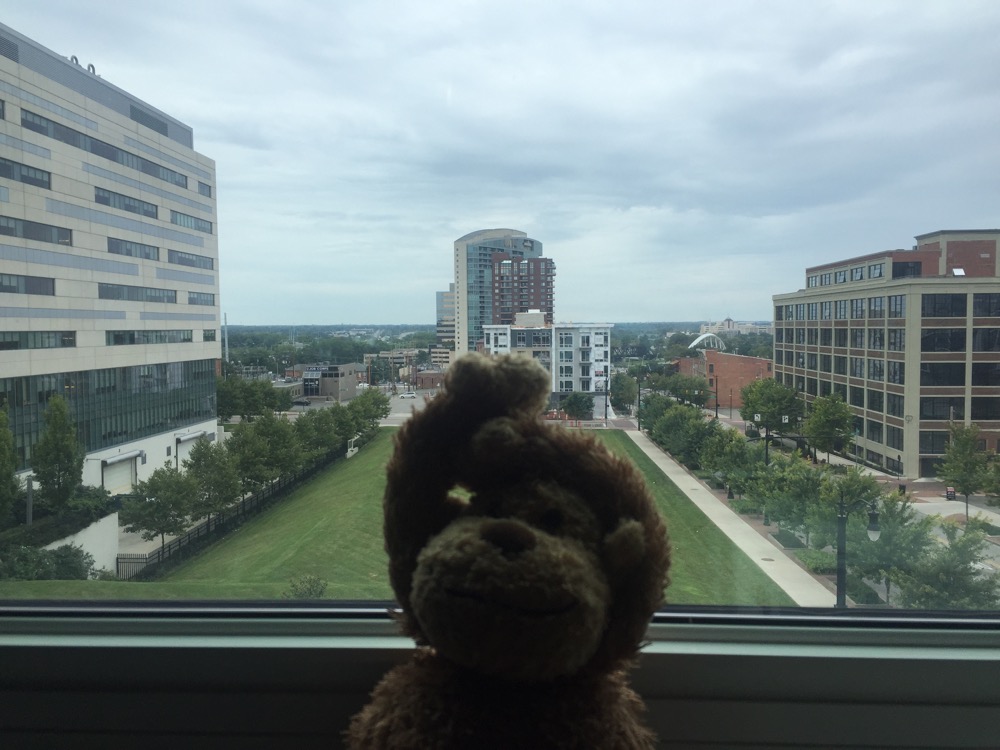 a stuffed animal looking out a window