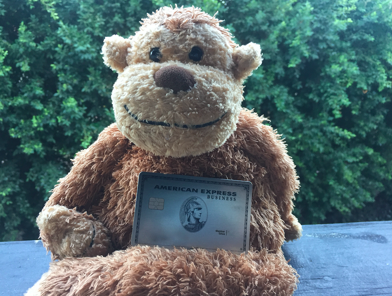 a stuffed animal holding a credit card