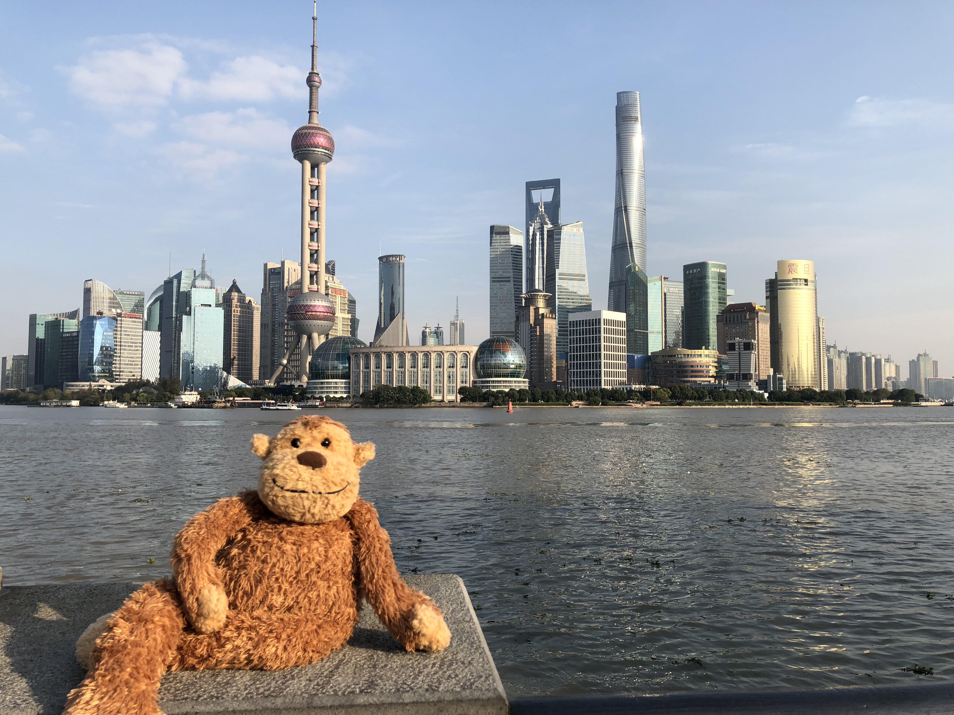 a stuffed animal on a stone ledge by water with a city in the background