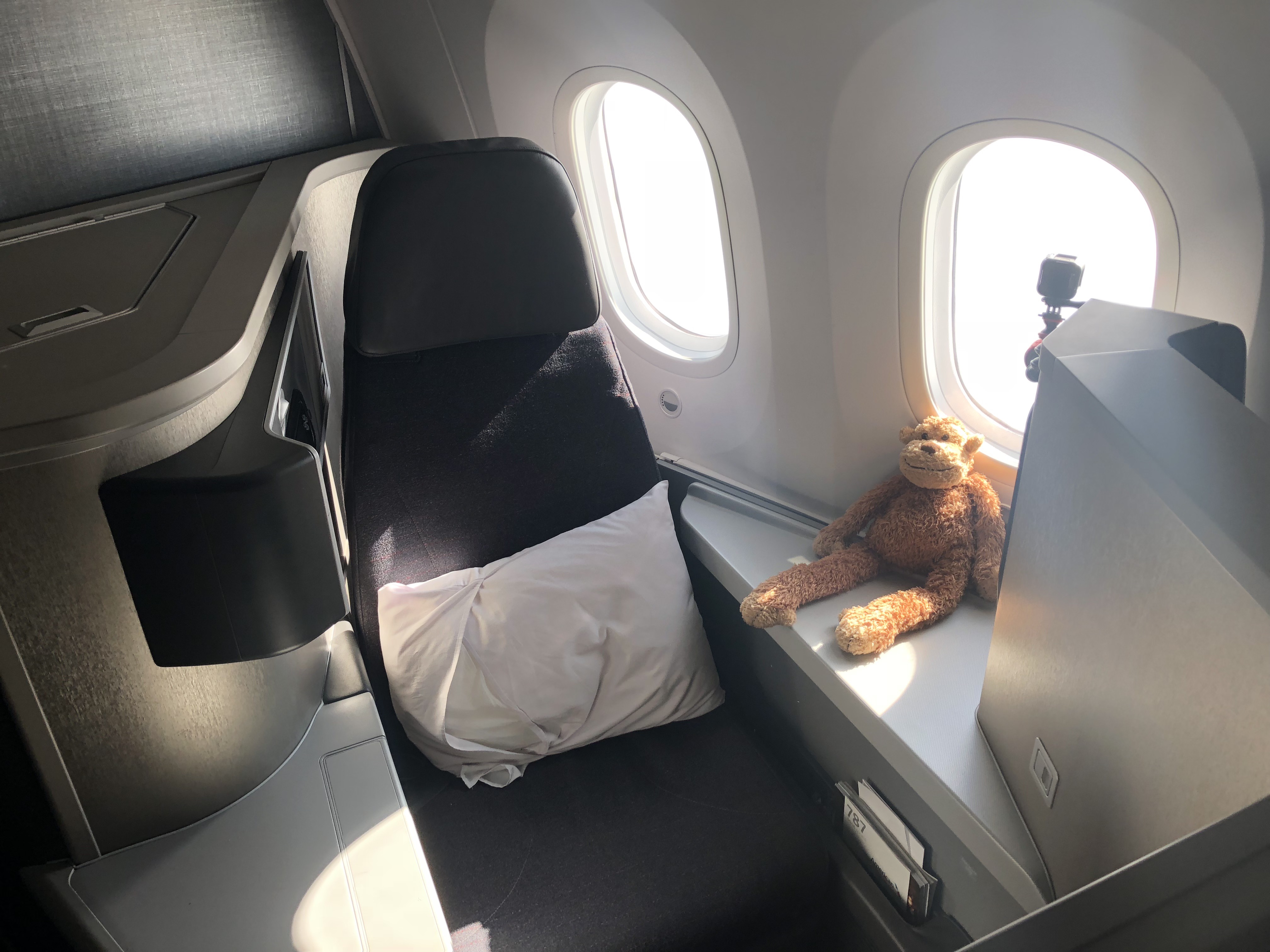 a stuffed animal sitting on a seat in an airplane
