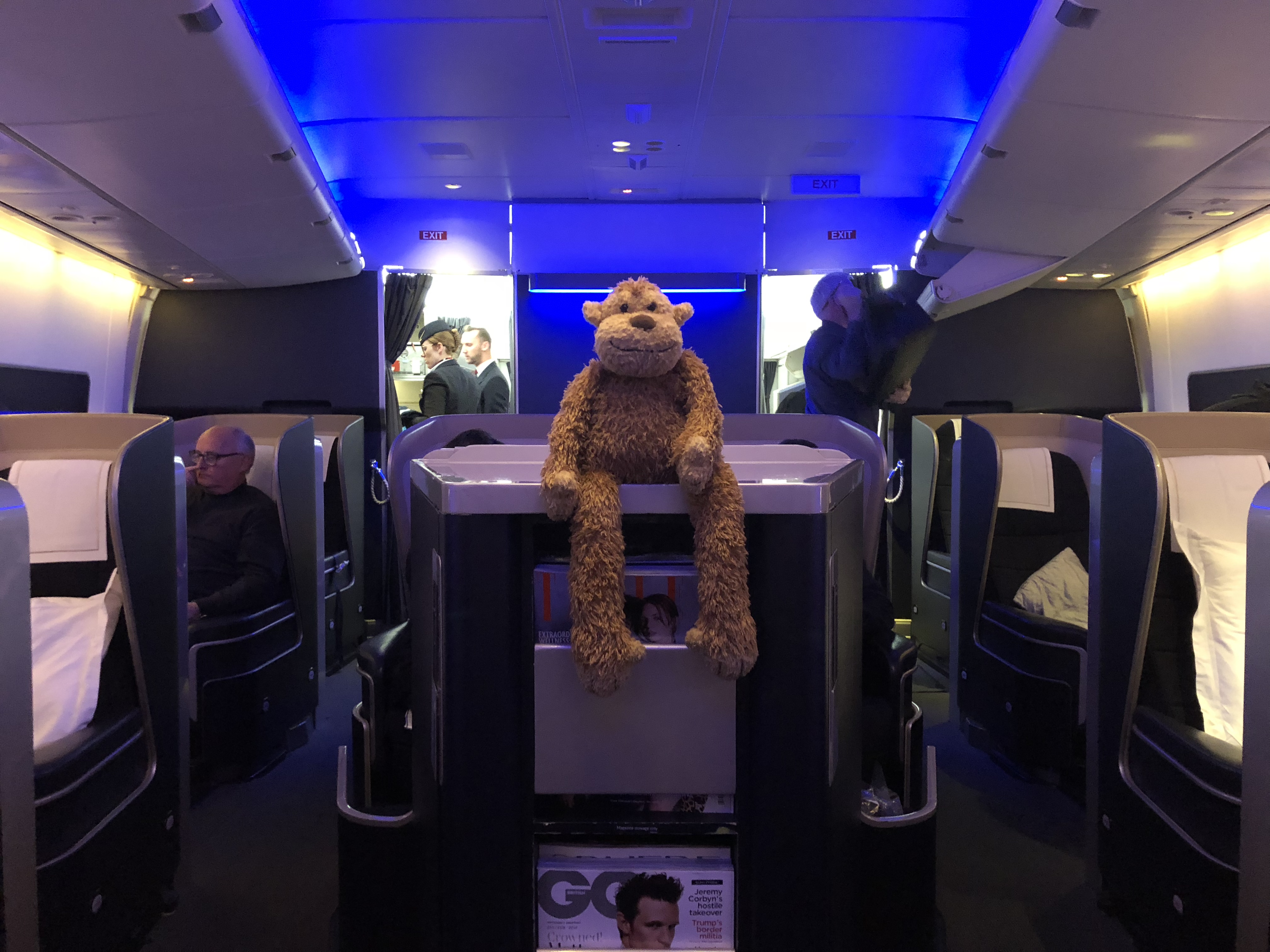a stuffed animal on a counter in an airplane