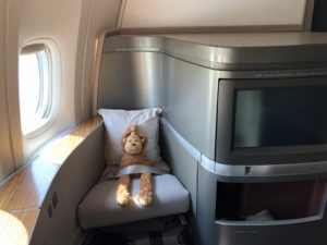 a stuffed animal on a seat in a plane