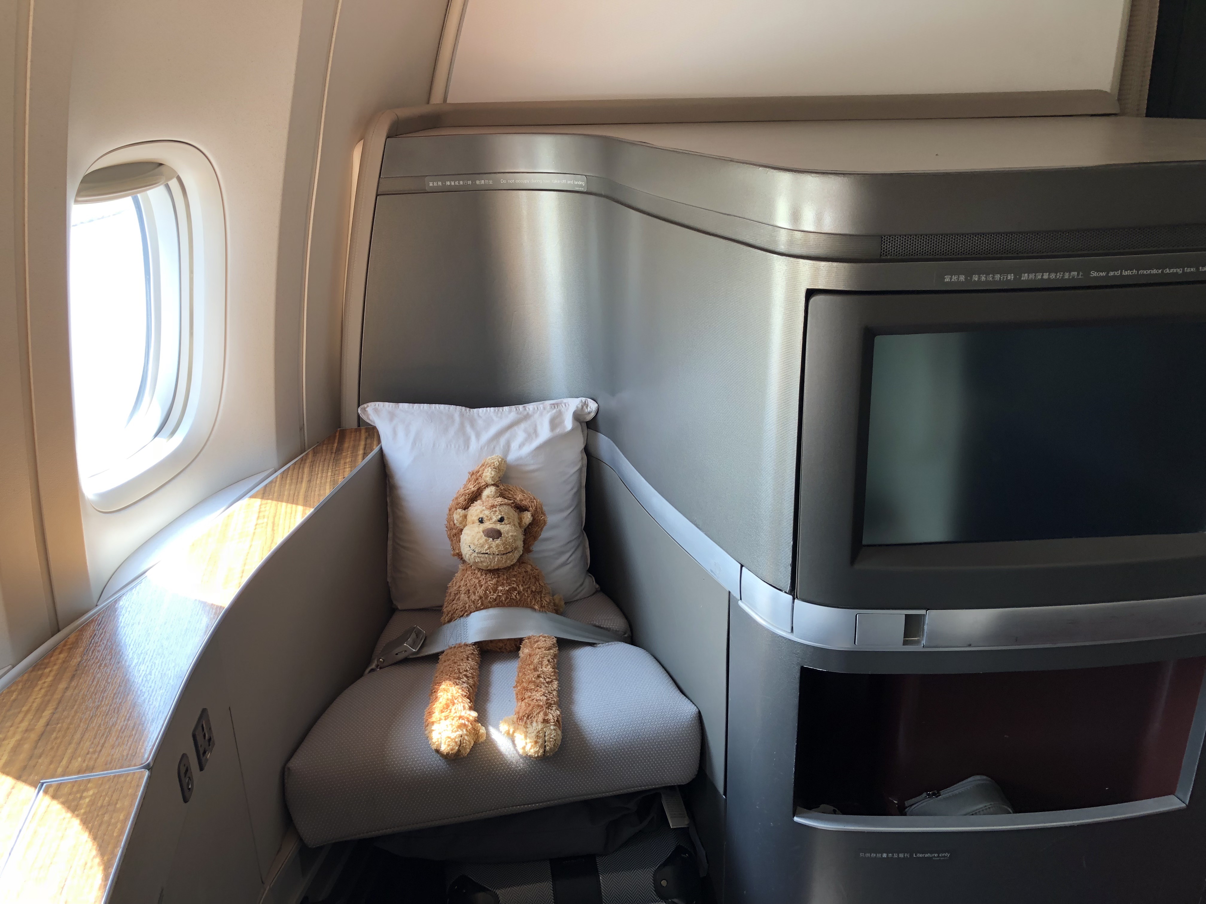 a stuffed animal on a seat in a plane