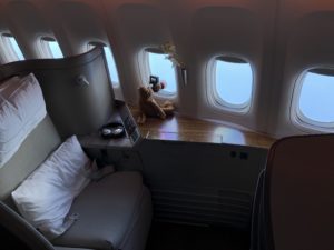 a teddy bear sitting on a chair in an airplane
