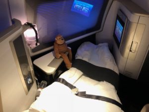 a stuffed animal on a table in a plane