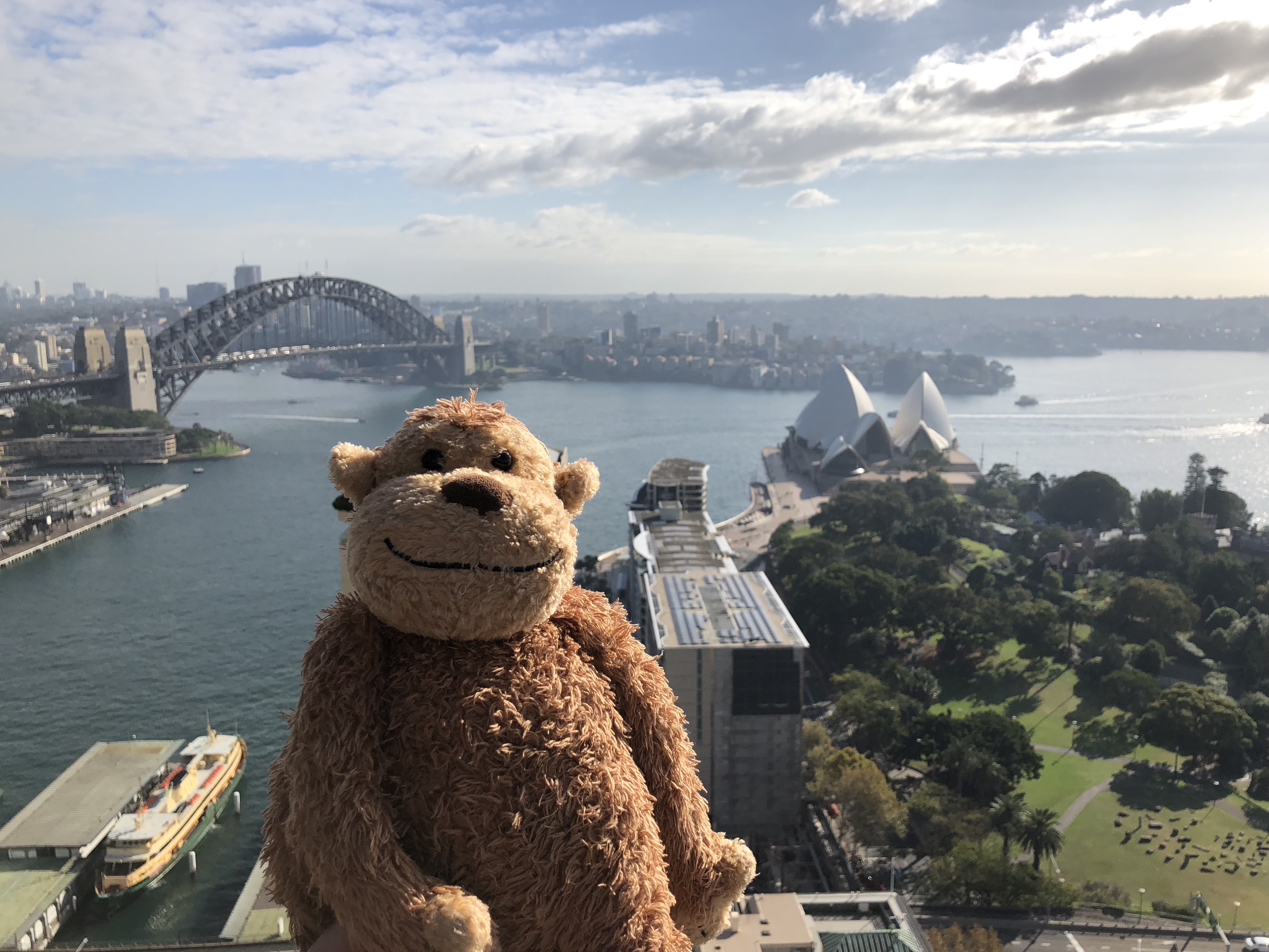 a stuffed animal standing on a ledge overlooking a city