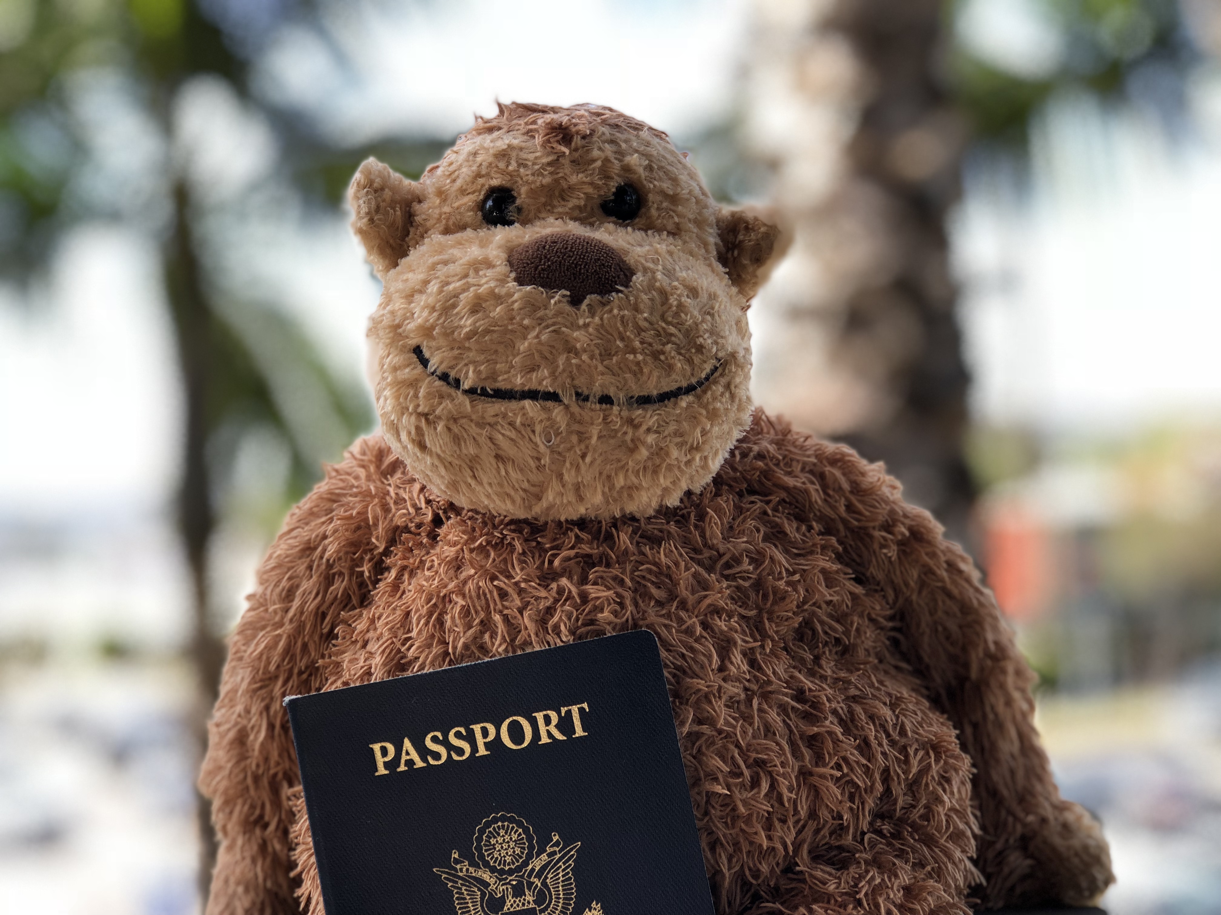 a stuffed monkey holding a passport