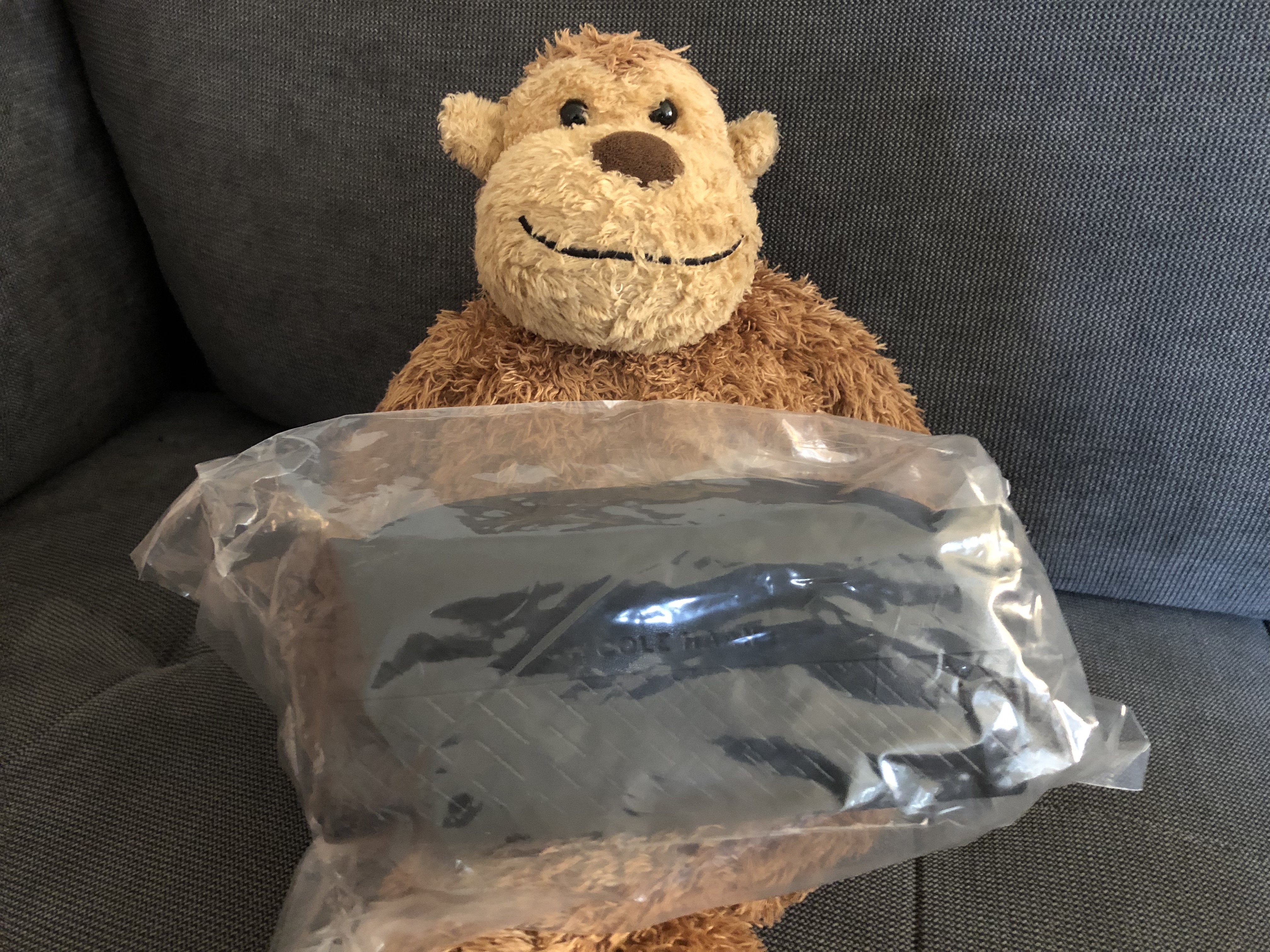 a stuffed animal in a plastic bag
