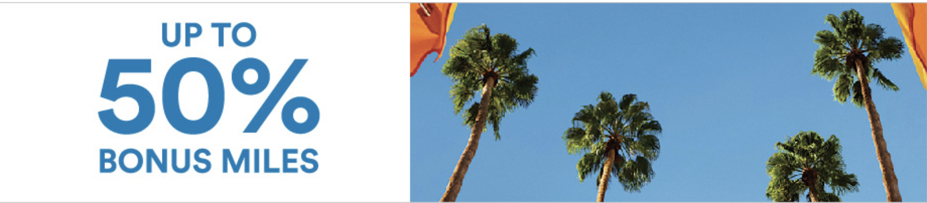 a palm tree with a flag