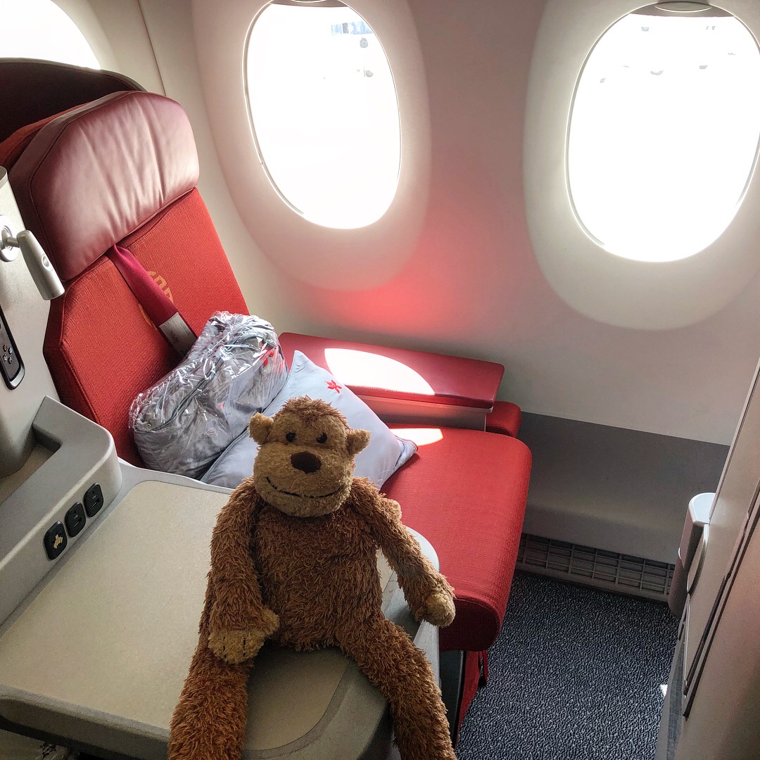 a stuffed animal on a seat in an airplane
