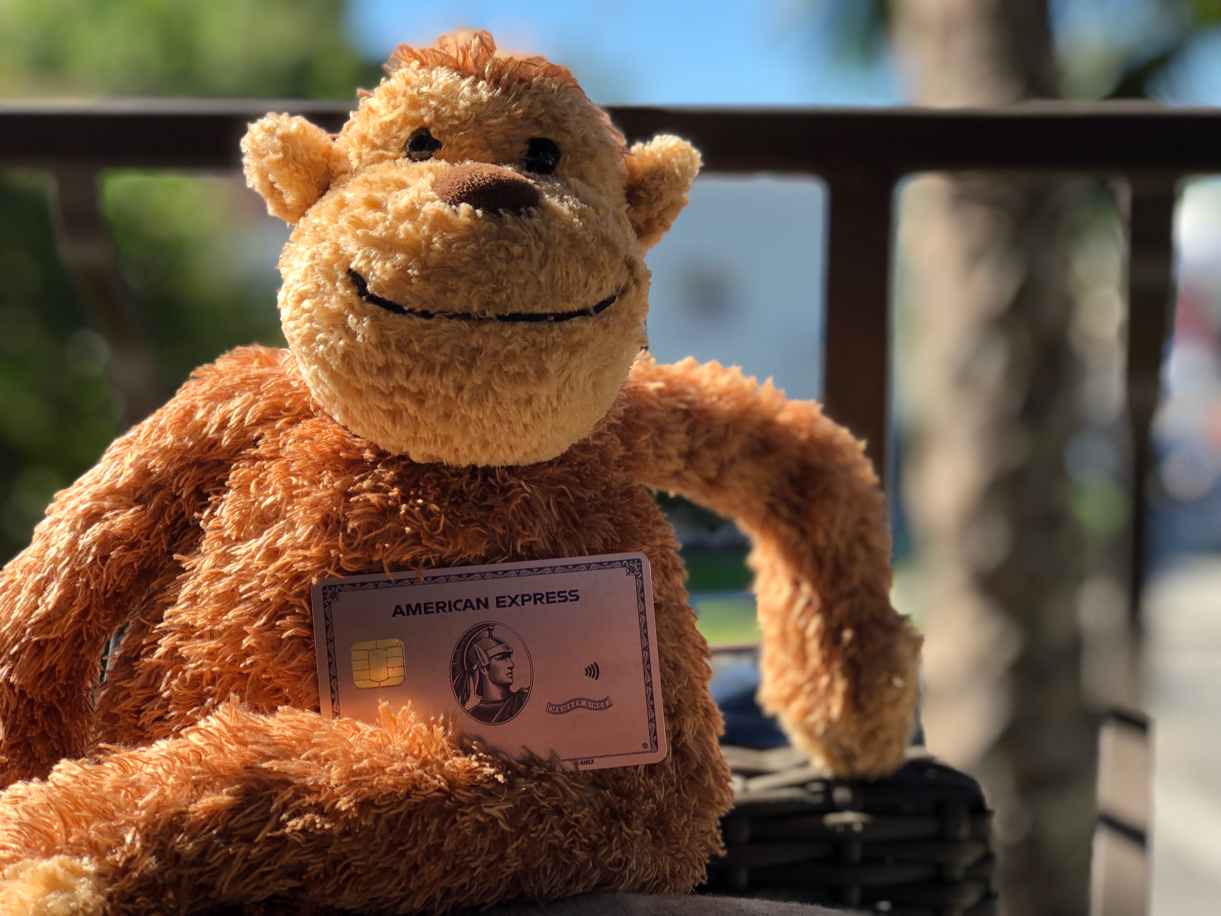 a stuffed animal with a card