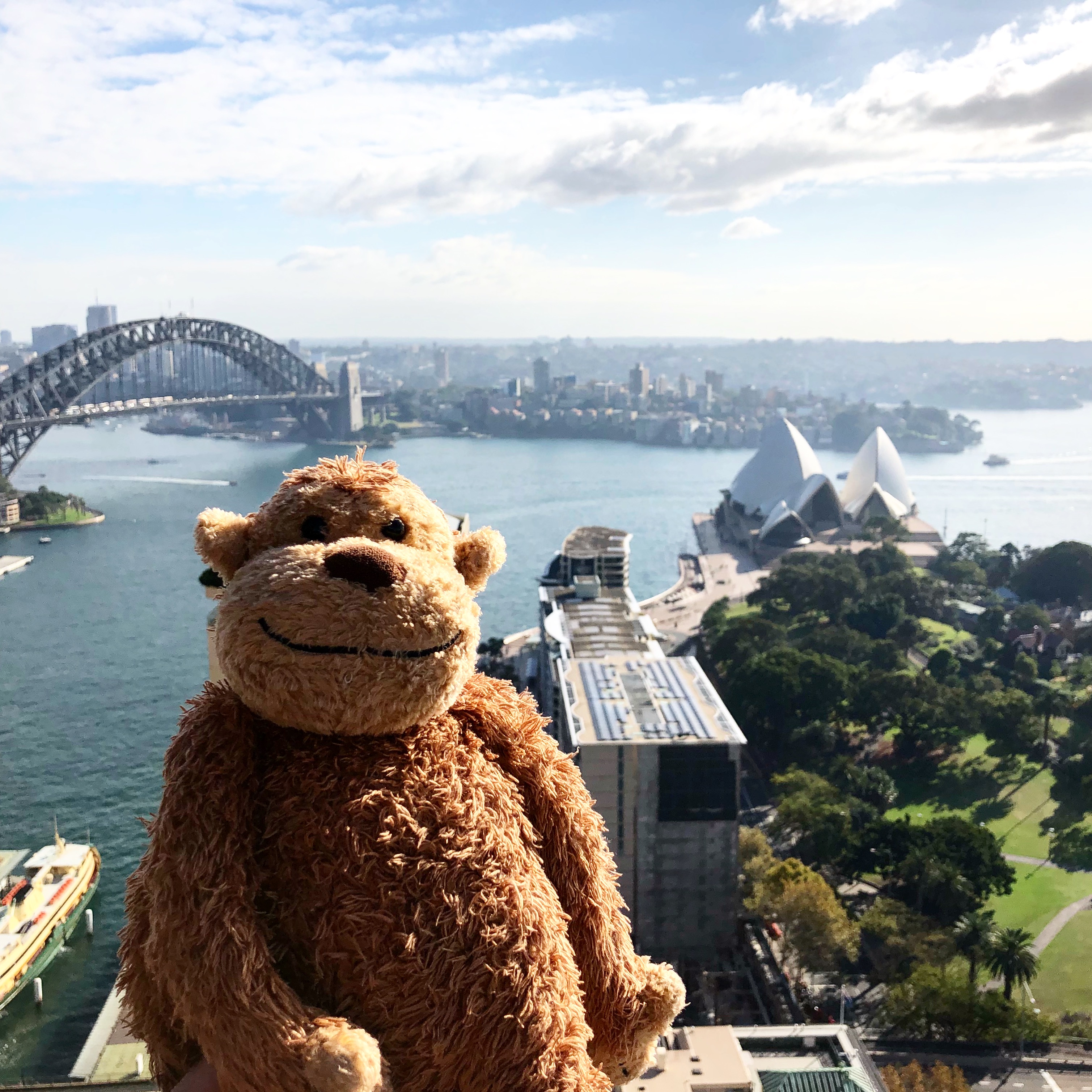 a stuffed animal standing on a ledge overlooking a city