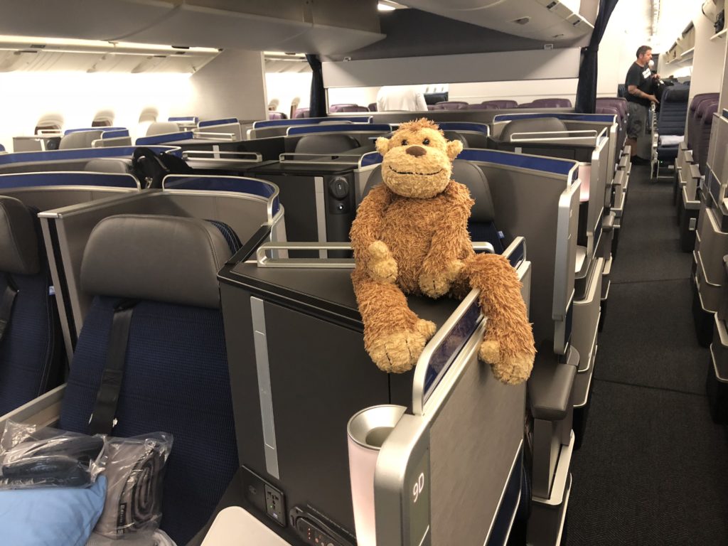 a stuffed animal on an airplane seat