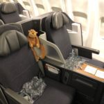 a stuffed animal on the seats of an airplane