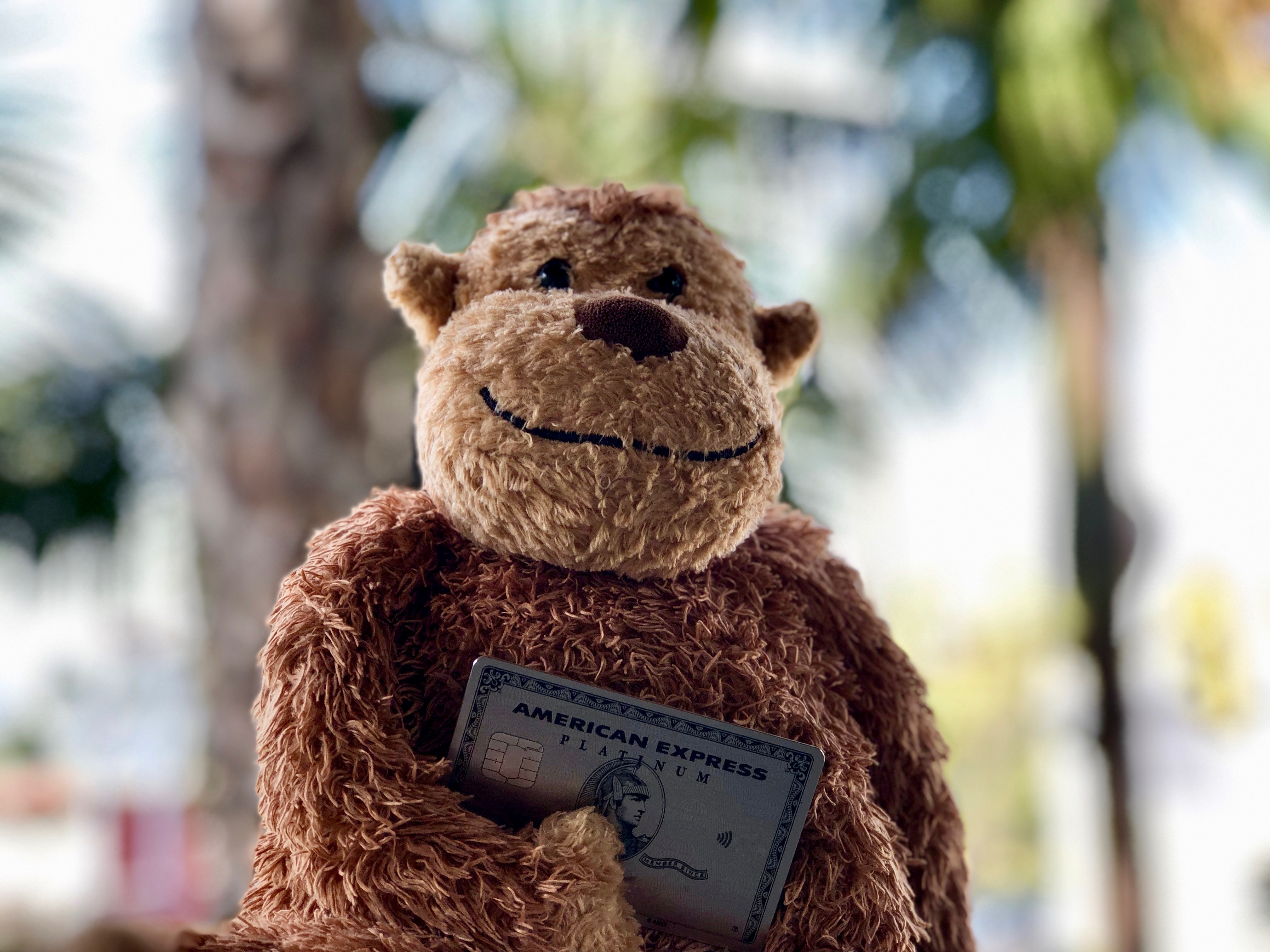 a stuffed animal holding a card