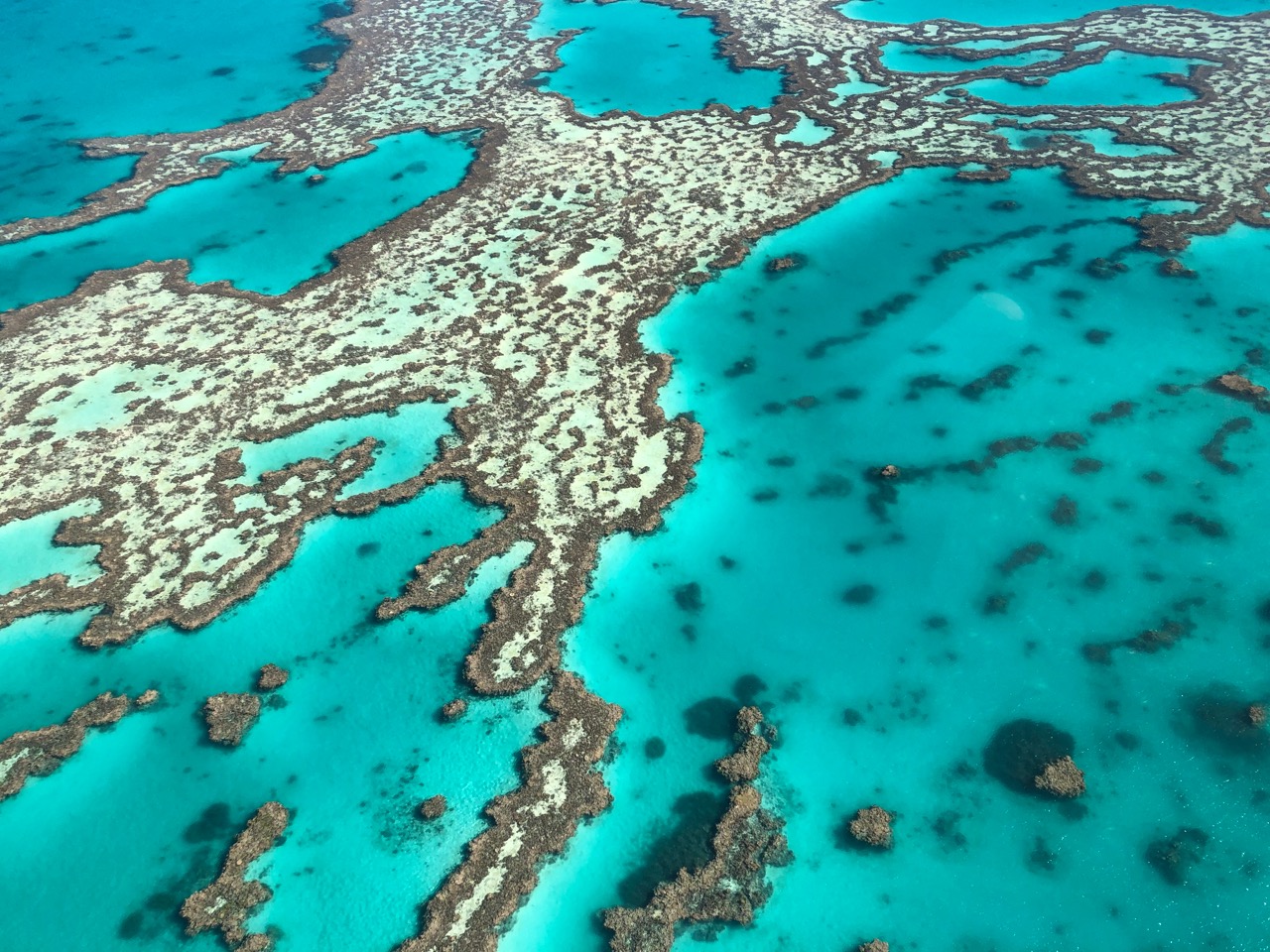 an aerial view of a coral reef