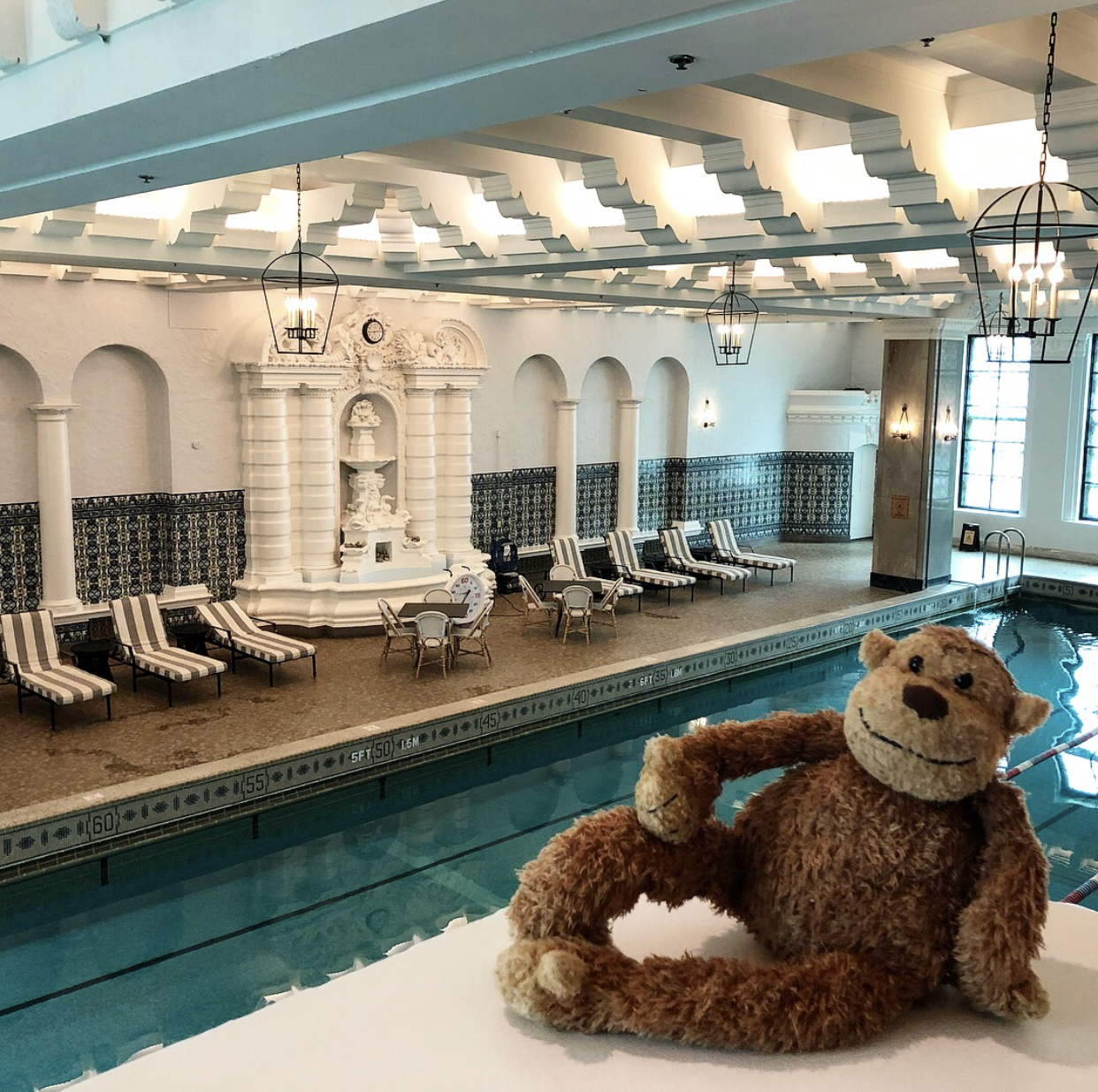 a stuffed animal next to a pool