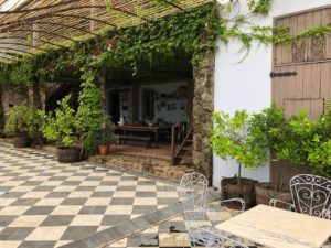 a patio with a covered patio and plants