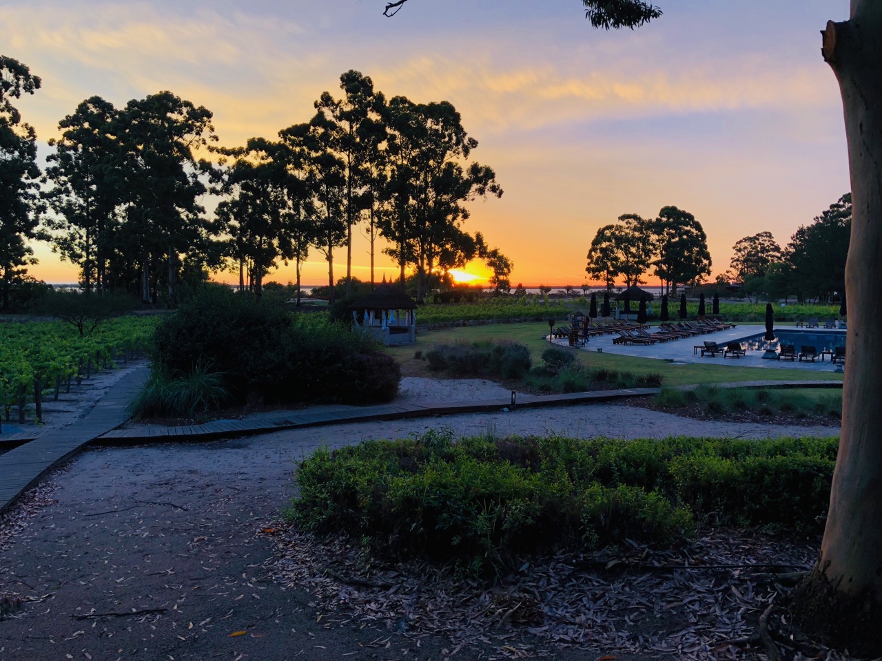 a sunset over a park