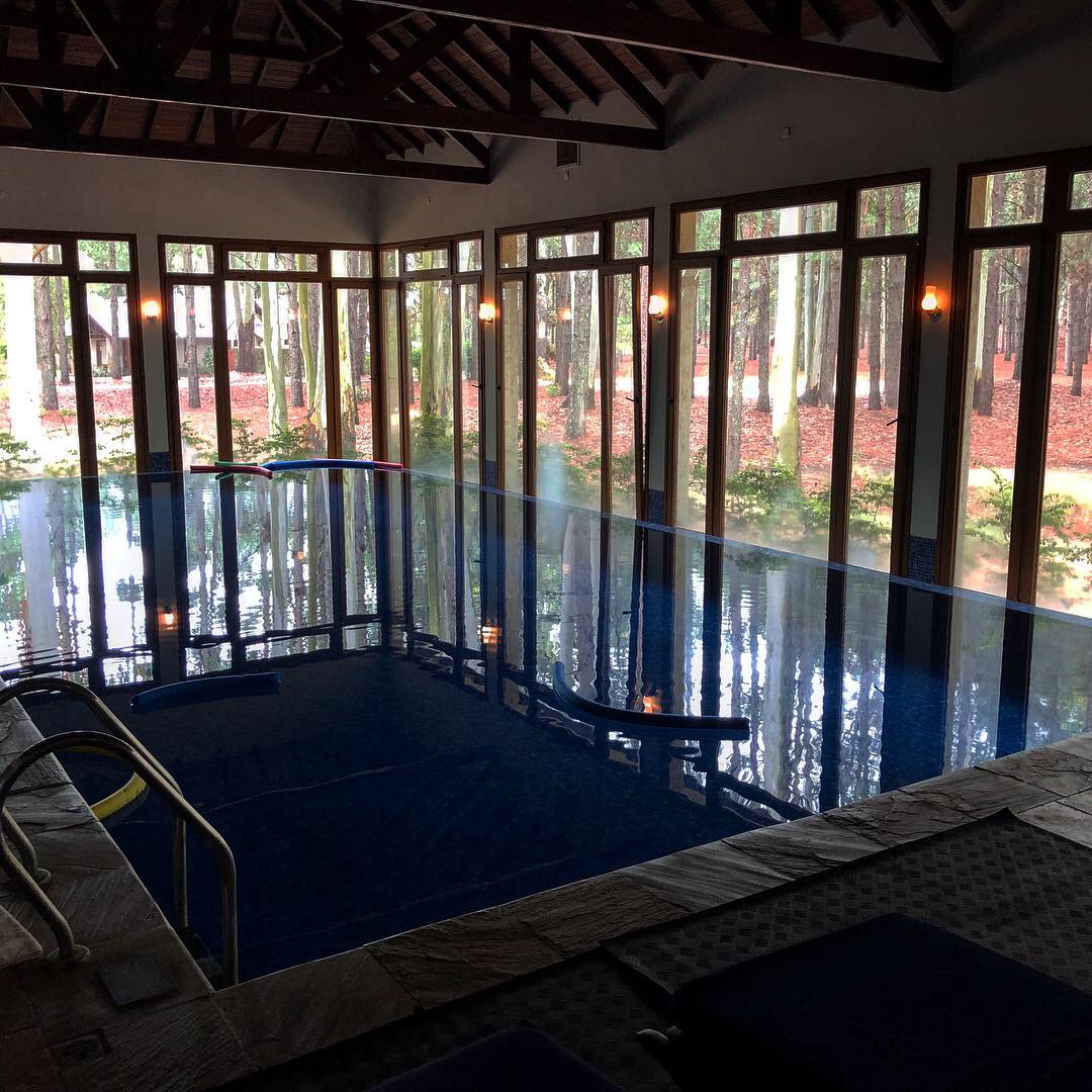 a indoor pool with windows and trees in the background
